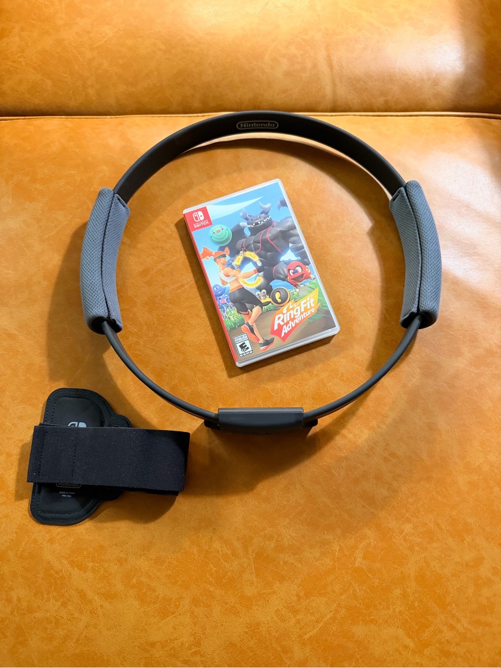Nintendo Ring-Con Exercise Controller and Game
